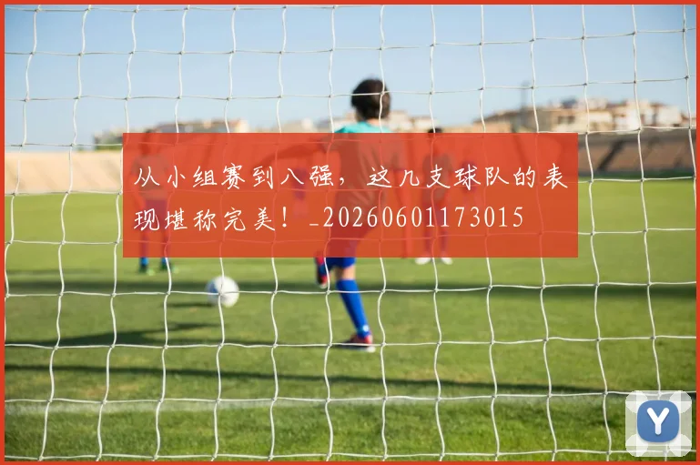 从小组赛到八强,这几支球队的表现堪称完美!_20260601173015